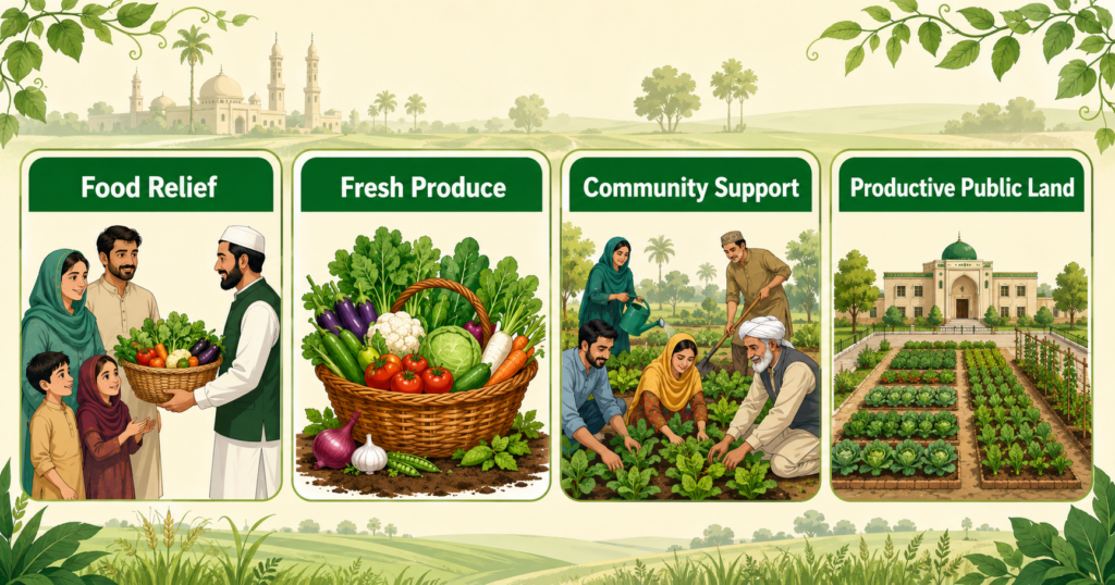 Benefits of Punjab community vegetable cultivation initiative