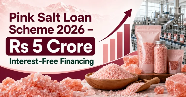 Pink Salt Loan Scheme