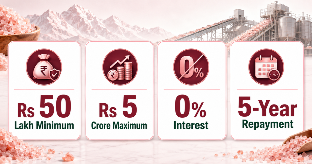 Pink Salt Loan Scheme amount and repayment period