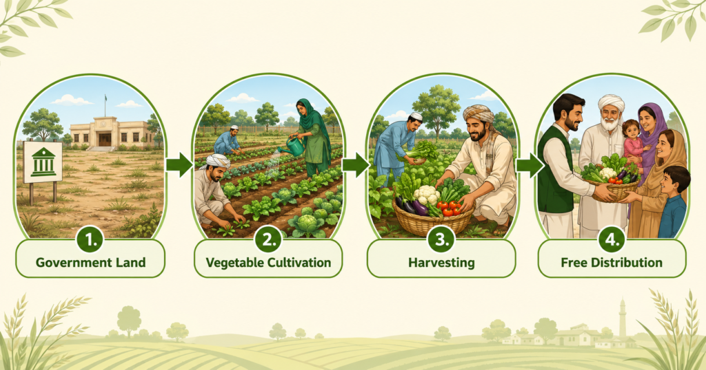 Punjab free vegetable scheme process explained